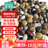 漫生活鹅卵石鱼缸造景石头雨花石庭院装饰园艺石底砂铺路石1-3cm彩色5斤