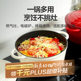 乐扣乐扣（LOCK&LOCK）珐琅铸铁锅双耳汤锅炖锅奶锅煮锅煮面煲汤电磁炉煤气灶白色24cm