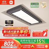 米家智能晾衣机Pro 【国家补贴】小米电动晾衣架超薄嵌入隐藏遥控升降