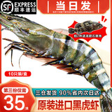 海泽鲜 越南黑虎虾原装进口超大特大号大虾 巨型老虎虾海虾对虾生鲜虾类 特大10只- 800g(净重)  长20-22cm