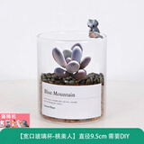 绿荫巷子多肉植物类绿植盆栽肉肉办公室内仙人掌球桌面带盆好养活小盆景 【桃美人】高透玻璃杯土砂+杯口猫咪