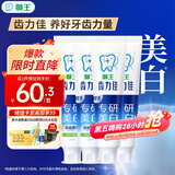 狮王（Lion）齿力佳水润焕白牙膏(绿野柠檬)120g*4护龈美白新老包装随机发货