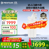 滨特尔（pentair）大白瓶前置过滤器 全屋家用自来水过滤器 前置净水器大蓝瓶 中央净水机大流量大胖瓶高精度 【10寸大白瓶】包安装
