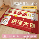 瑞恩入户地垫丝圈高端进户门口垫子家用进门地毯防滑脚垫可裁剪