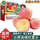 南步山西运城红富士苹果 临猗特产万荣高山冰糖心苹果新鲜水果礼盒 9斤 精选果【单果75+】