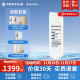 滨特尔（pentair）净水器V3000/S2000/T4000/V7000/V4000/S10/V40/T8000通用替换滤芯 T4000 第二级滤芯T4-C2