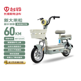 台铃电动自行车新大果粒2026新国标可上牌48V20Ah铅酸电池通勤代步电动车电自莫兰迪绿