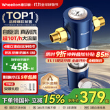 惠尔顿（WHEELTON）前置过滤器反冲洗防爆10T全屋净水器家用大流量自动刮洗清洗滤网防爆抗冻自来水管过滤器p0038pro 自行安装【无需更换滤芯】