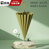 天玮伞业自动晴雨伞长柄伞16骨半自动大号加大加固抗风伞骨女士直杆可定制