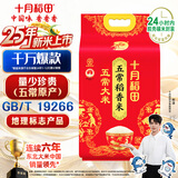 十月稻田 2025年新米 五常大米 10斤（五常稻香米 东北大米 5公斤/十斤）