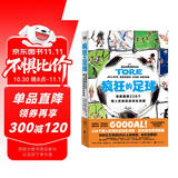 疯狂的足球：漫画图解228个载入史册的进球名场面