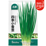 北蔬四季小葱小香葱种子种苗家庭种植蔬菜种籽 四季小香葱种子2000粒