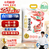 十月稻田 2025年新米 油粘米 银牙香粘米（大米 香米 籼米 10斤）