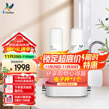 道尔顿（Doulton）净水器家用直饮 厨房自来水龙头过滤器矽藻陶瓷净水机无废水可清洗超滤饮水机 D-CP203