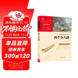 两个小八路 经典红色系列 小学四年级上册阅读（ 中小学课外阅读 无障碍阅读）少年励志爱国故事读本 