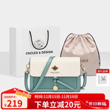 蔻一（Cnoles）斜挎包女士单肩包大容量实用女款纪念日走心实用生日礼物送媳妇