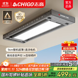 志高（CHIGO） 智能电动晾衣架升降晾衣机阳台智能晾衣机超薄隐形挂衣架晒衣架 灰色+照明横杆语音