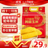 十月稻田 黄糯玉米 3.52斤(220g*8根) 东北粘苞米 早餐零食 蛇年限定