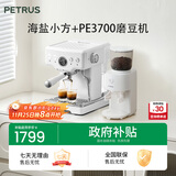 柏翠(petrus)咖啡机意式浓缩家用小型半自动蒸汽打奶泡 海盐小方PE3833+PE3700