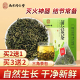 南同四海南京同仁堂蒲公英茶包搭野生蒲公英散结茶中药材三角茶包