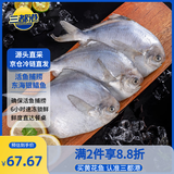 三都港 冷冻东海银鲳鱼450g/3条装 平鱼 深海鱼 生鲜 鱼类 海鲜