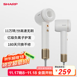 夏普【夏普小浪花】家用高速吹风机 大功率速干电吹风低噪音吹风筒等离子护发IB-RP45C-C