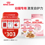 皇家猫粮 幼猫猫粮 干湿搭配 K36 4.5kg+啫喱肉冻KJP 85G*3