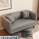 华莱德简约现代科技布艺沙发小户型客厅双人出租房卧室公寓三人简易网红 浅灰色 双人座