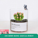 绿荫巷子多肉植物类绿植盆栽肉肉办公室内仙人掌球桌面带盆好养活小盆景 【钱串串】高透玻璃杯土砂+杯口猫咪