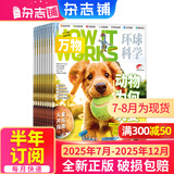 万物杂志2026年/2025年订阅 8-15岁青少年科学科普 3D图解知识 中小学生课外科普百科通识知识 How it works 中文版期刊单月/半年/全年少儿阅读杂志铺环球科学青少年版非英文版 【