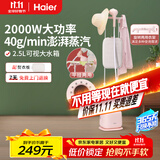 海尔（Haier）双杆立式挂烫机家用手持蒸汽电熨斗烫衣服带板大功率平挂两用多功能蒸气熨烫机HY-GS2408F