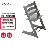 Stokke成长椅源自欧洲宝宝TT餐椅多功能儿童餐椅家用餐桌椅婴儿餐椅 【推荐】风暴灰单椅