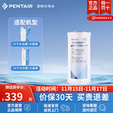 滨特尔（pentair） 全屋净水器家用大蓝瓶大流量大白瓶大胖瓶通用滤芯 【首推】10寸复合活性炭高效滤芯