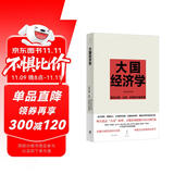 大国经济学：面向长期、全局、多维的中国发展（“中国好书”月榜图书，系统解读中国经济的通识之作，陆铭、杨汝岱等十位一流学者协力打造）