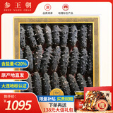 参王朝 大连底播淡干海参干货辽刺参海鲜水产礼盒 7A 实惠装尊品9年 250g*1盒 20-30头