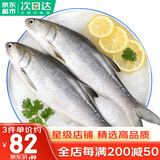 哆鲜生 海捕活冻马友鱼 野外生长午笋鱼马鲅鱼三去除脏1斤 鲜活冷冻鱼类 大号 2条/袋 净重500g