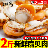 北海湾 鲜剥扇贝肉 新鲜扇贝生鲜北城红贝超大海鲜水产鲜活特大贝柱贝类 【大号60/80规格】净重1000g