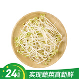 【24小时菜】富硒黄豆芽200g