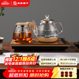 友家铺子（Biooner）全自动上水电热水壶烧水壶家用办公茶台一体机茶桌茶几嵌入式茶具套装 RY-09金色保温1L