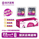 佳沃（JOYVIO） 云南蓝莓脆脆花香系列 巨无霸22mm+ 4盒装 约125g/盒 水果礼盒  