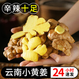 正鲜季（ZHENGXIANJI）正宗云南小黄姜新鲜姜现挖姜生沙地黄姜月子姜调味1新鲜蔬菜整箱 500g