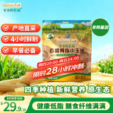 爷爷的农场儿童拇指小玉米400g(6-8根) 宝宝儿童早餐零食杂粮拇指白糯玉米