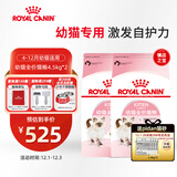 皇家猫粮 幼猫猫粮 幼猫奶糕 K36 通用粮 4-12月 4.5KG*2