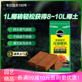 美乐棵进口压缩椰砖椰糠砖椰土营养土脱盐花土耶砖种菜通用型1L