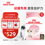 皇家幼猫猫粮 幼猫奶糕 K36 通用粮 4-12月 10KG