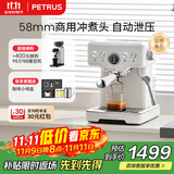 柏翠(petrus)【政府补贴】咖啡机意式浓缩家用小型半自动蒸汽打奶泡PE3833 海盐小方