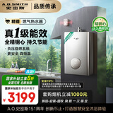 史密斯（A.O.SMITH）佳尼特【精钢TC3】一级能效16升精钢燃气热水器 【国家补贴20%】 JSLQ28-TC3 全精钢心包8年