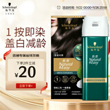 施华蔻（Schwarzkopf）怡然一按染泡泡染发乳2.0雾感冷黑 染发剂男女多次盖白 热门商品
