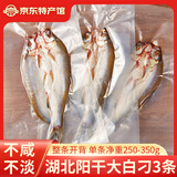 鄂峰 翘嘴鱼大白刁 白鱼武昌鱼湖北特产腊鱼咸鱼腌鱼风干小刁子鱼整条 阳干大白刁250-350g丨整条开背丨3条装