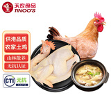 天农 供港农家土鸡 1kg 山林散养清远走地鸡整鸡肉 冷冻 红烧煲汤食材